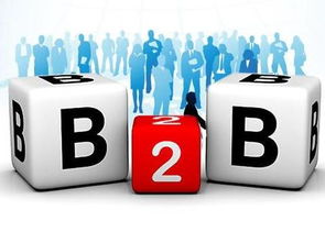 京東B2B電子銷售 為何能在阿里失手處成功？